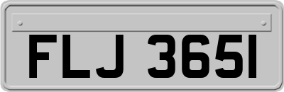 FLJ3651