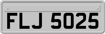 FLJ5025