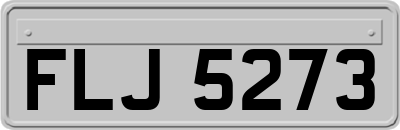 FLJ5273