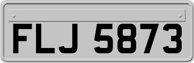 FLJ5873