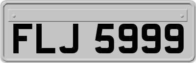 FLJ5999