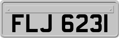 FLJ6231