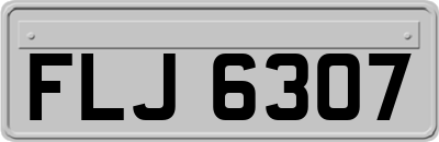 FLJ6307