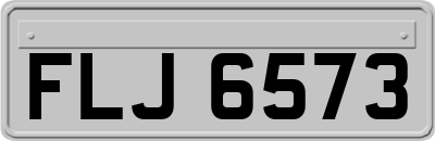 FLJ6573