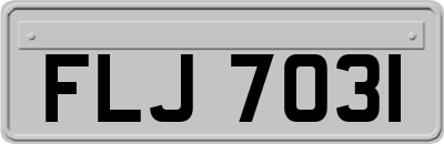 FLJ7031