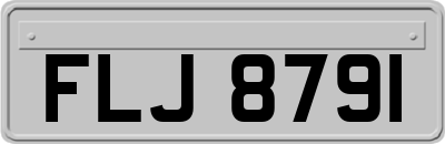FLJ8791
