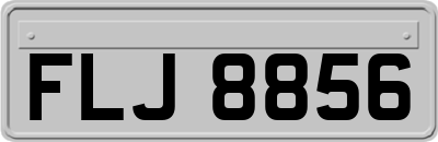 FLJ8856