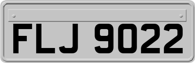 FLJ9022