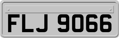 FLJ9066