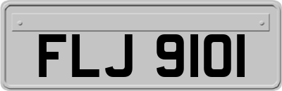 FLJ9101