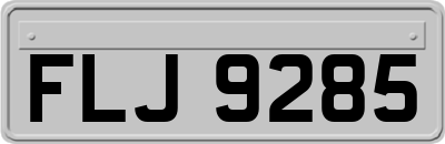 FLJ9285