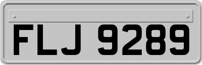 FLJ9289