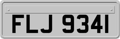 FLJ9341
