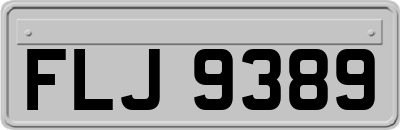 FLJ9389