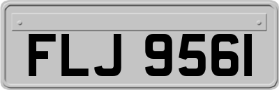 FLJ9561