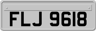 FLJ9618