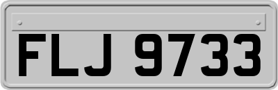 FLJ9733