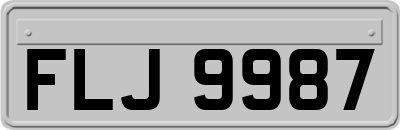 FLJ9987