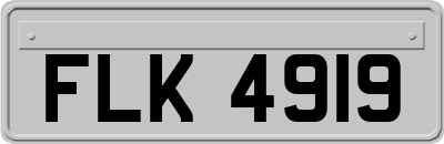 FLK4919