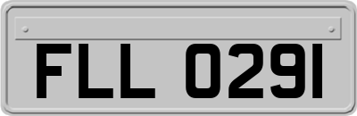 FLL0291