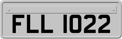 FLL1022