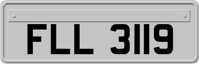 FLL3119