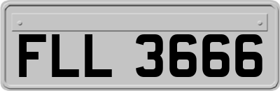 FLL3666