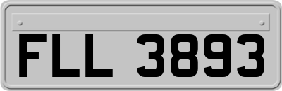 FLL3893