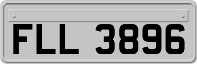 FLL3896