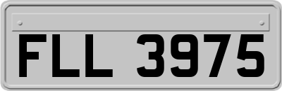 FLL3975