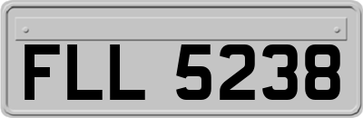 FLL5238