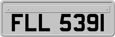 FLL5391