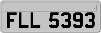 FLL5393