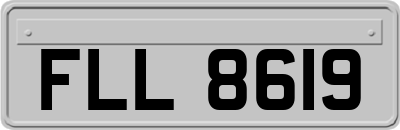 FLL8619