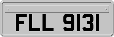 FLL9131