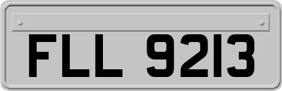 FLL9213