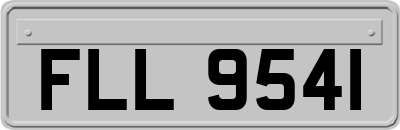 FLL9541