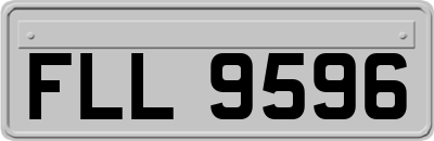 FLL9596