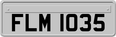 FLM1035