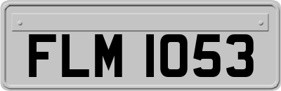 FLM1053