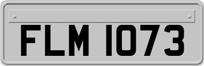 FLM1073
