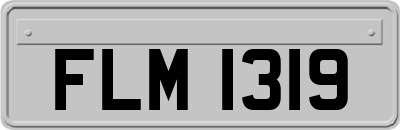 FLM1319