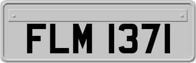 FLM1371