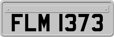 FLM1373