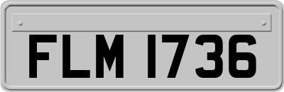 FLM1736