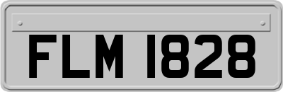 FLM1828