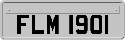 FLM1901