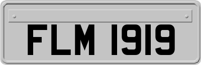FLM1919