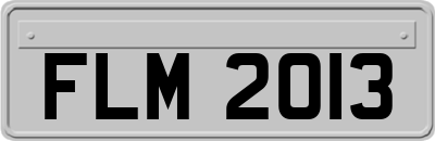 FLM2013