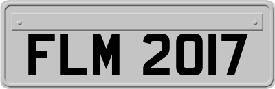 FLM2017